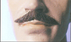 Executive Moustache III